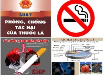 Hưởng ứng Ngày Thế giới không thuốc lá 31/5, Tuần lễ Quốc gia không thuốc lá 25/5 – 31/5