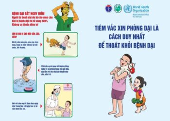 Hưởng ứng Ngày Thế giới phòng chống bệnh Dại (28/9/2024)