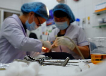 Cái giá phải trả bởi nỗi sợ ‘nhổ răng khôn’